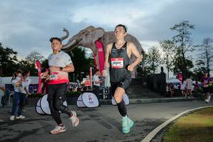 BIB: 
                            <button type="button" onclick="openModal(26529424)" class="btn btn-primary btn-sm float-right btn-popup" data-toggle="modal" data-target=".modal-high-quality">
                        <i class="fas fa-shopping-cart"></i> Add to Cart
                    </button>
                                            <button type="button" onclick="isThisMe(26529424, true)" class="btn btn-success btn-sm float-right btn-popup btn-isme hidden" data-toggle="tooltip" data-placement="bottom" title="นี่คือรูปของคุณใช่ไหม คลิกที่นี่เพื่อเอาเข้าอัลบั้ม">
                        <i class="fas fa-plus"></i> Add to album
                    </button>
                    <button type="button" onclick="isThisMe(26529424, false)" class="btn btn-warning btn-sm float-right btn-popup btn-isnotme hidden">
                        <i class="fas fa-ban"></i> Remove from album
                    </button>